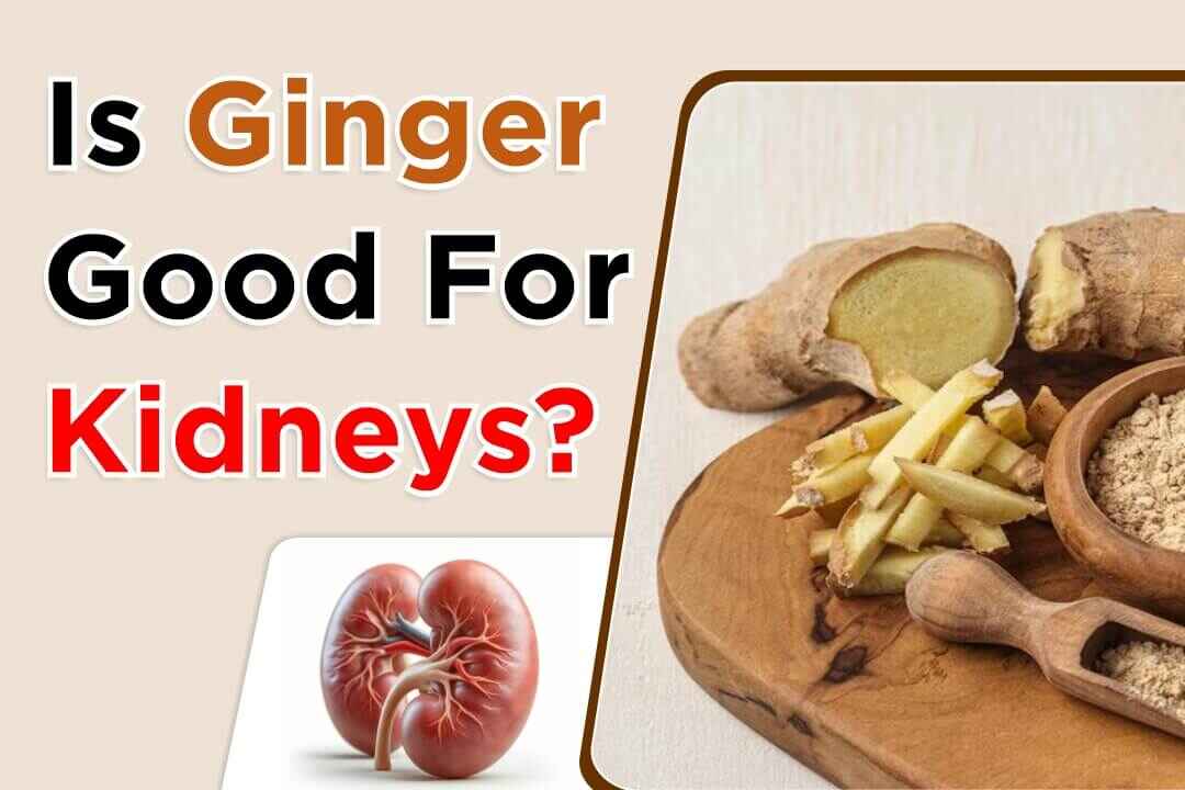 Is Ginger Good For Kidneys